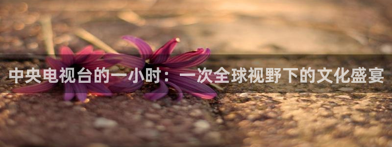 nba直播蜘蛛直播