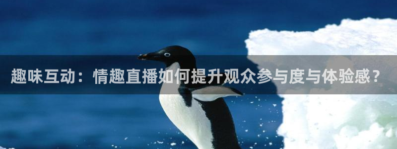 蜘蛛体育直播在线直播