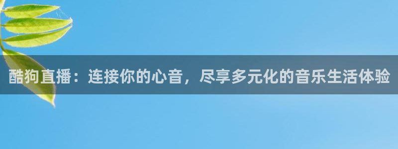 nba在线直播免费观看直播蜘蛛直播：酷狗直播：连接你的心音，尽享多元化的音乐生活体验