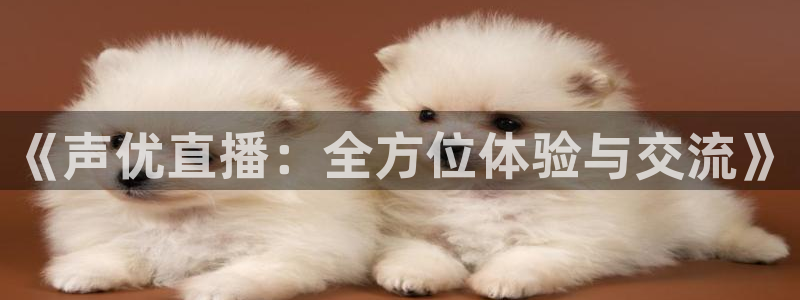 蜘蛛体育nba直播入口