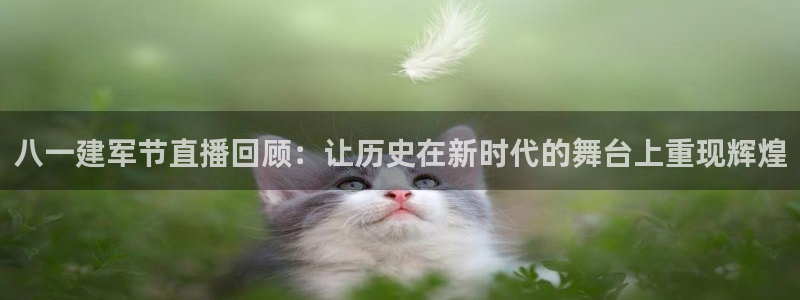 蜘蛛直播体育nba直播在线