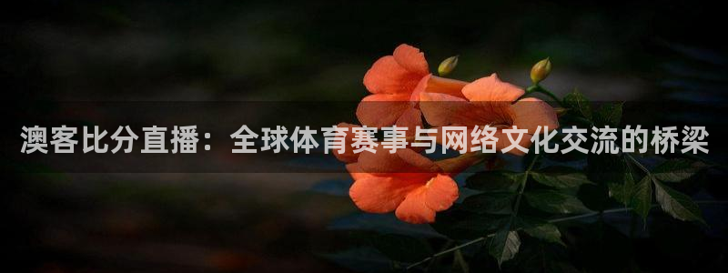 足球小蜘蛛：澳客比分直播：全球体育赛事与网络文化交流的桥梁