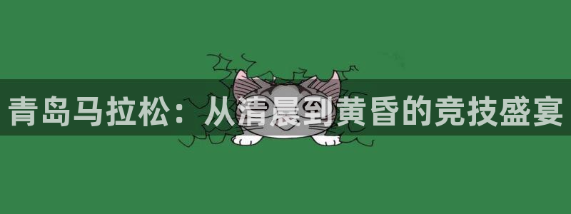 蜘蛛体育直播免费高清在线观看：青岛马拉松：从清晨到黄昏的竞技盛宴
