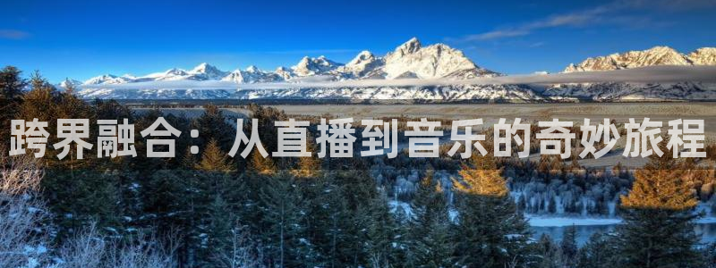 nba直播蜘蛛直播：跨界融合：从直播到音乐的奇妙旅程
