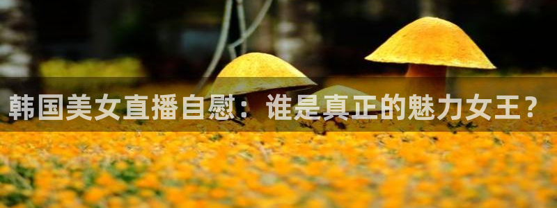 蜘蛛体育官网入口