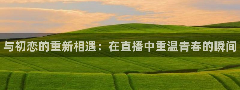 蜘蛛直播体育app
