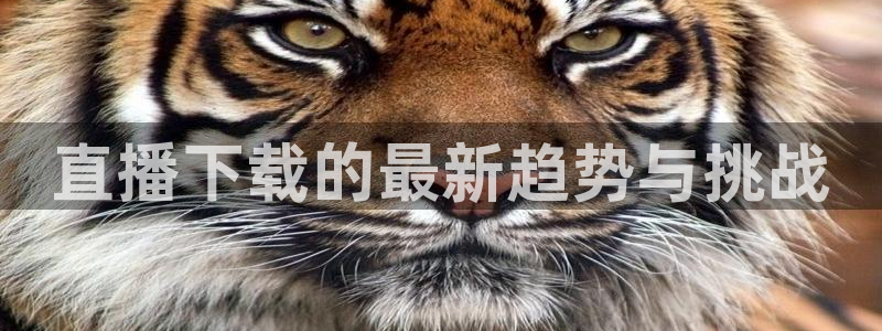 蜘蛛nba直播：直播下载的最新趋势与挑战