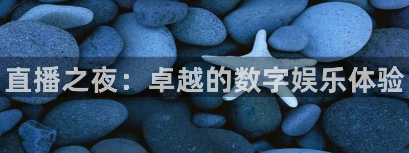 jrs直播nba(无插件)直播蜘蛛直播：直播之夜：卓越的数字娱乐体验