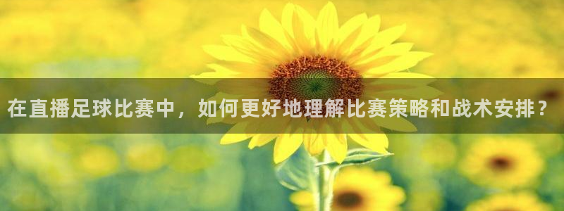 蜘蛛体育nba直播：在直播足球比赛中，如何更好地理解比赛策略和战术安排？