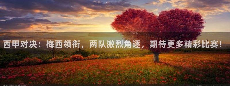 蜘蛛直播体育免费：西甲对决：梅西领衔，两队激烈角逐，期待更多精彩比赛！