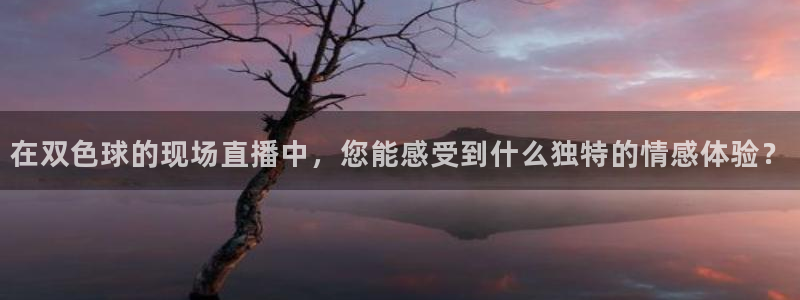 蜘蛛直播体育app：在双色球的现场直播中，您能感受到什么独特的情感体验？